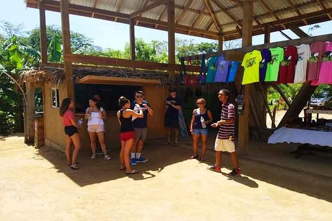 Cruise Ship Family Chocolate Factory, Sloths & Monkeys, Beach, Transportation - Roatan views, island photos, and the rum and cake stop