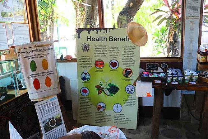 Cruise Ship Family Chocolate Factory, Sloths & Monkeys, Beach, Transportation - Is $70 per person a fair price?