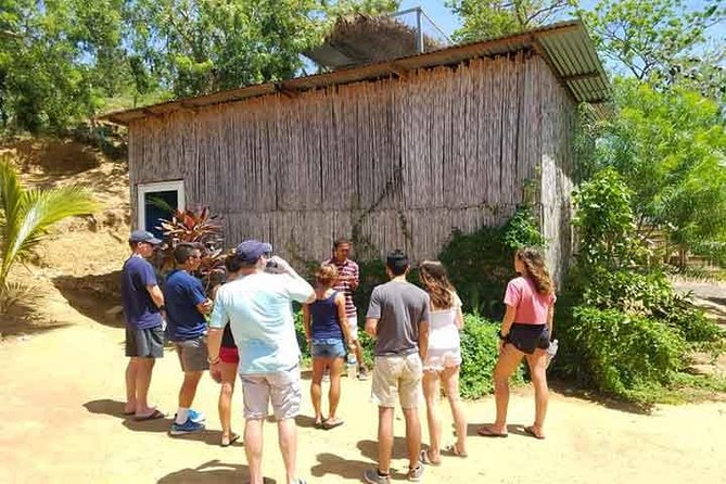 Cruise Ship Family Chocolate Factory, Sloths & Monkeys, Beach, Transportation - Who will enjoy this experience most?