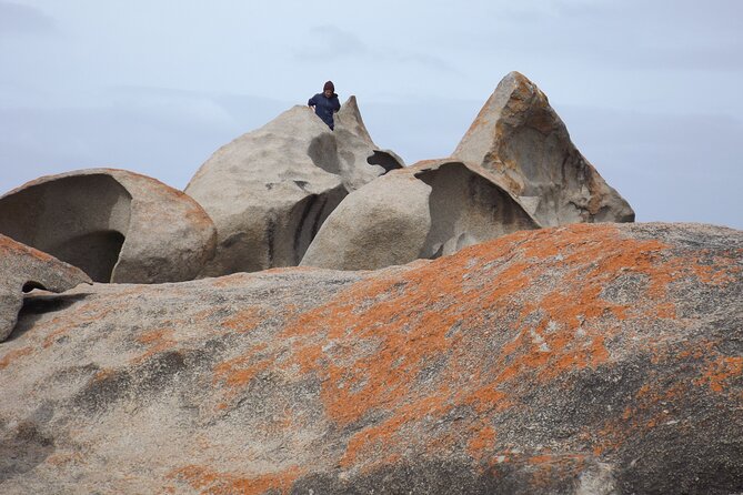 Cruise Ship Flinders Chase Tour - Flinders Chase National Park ties the western route together