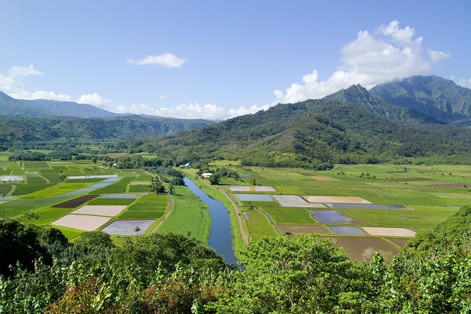 Cruise Ship Shore Excursion: Kauai Movie Sites Tour - Waterfalls, roads, and movie trivia around east Kaua‘i