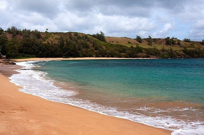 Cruise Ship Shore Excursion: Kauai Movie Sites Tour - Lunch, with practical choices for different diets