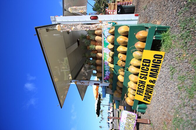 Cruise Ship Shore Excursion: Kauai Movie Sites Tour - Is $181 a fair price?