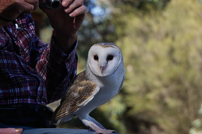 CRUISE SHIP Wildlife Tour - Kangaroo Island Wildlife Park for the widest animal mix