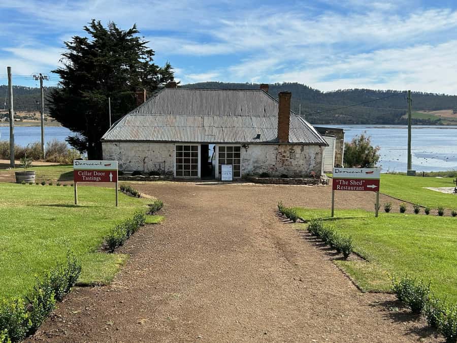 Cruise Ship - Wine Shore Excursion - Hobart - First tastings at a local family vineyard