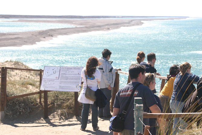 Cruise Shore Excursion Peninsula Valdes - Pto Madryn - Patagonia - Argentina - The boxed lunch and what to bring
