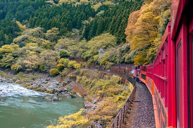 Cruise Stop-Over: Private Custom Day trip to Kyoto from Kobe Port - Gion and the Shirakawa Canal