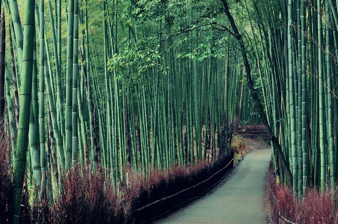 Cruise Stop-Over: Private Custom Day trip to Kyoto from Kobe Port - From Kobe Port to Kyoto by train