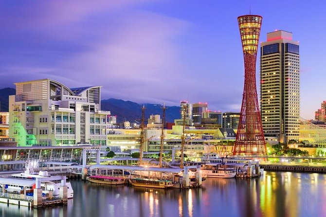 Cruise Stop-Over: Private Custom Day trip to Osaka from Kobe Port - What the private format is really worth