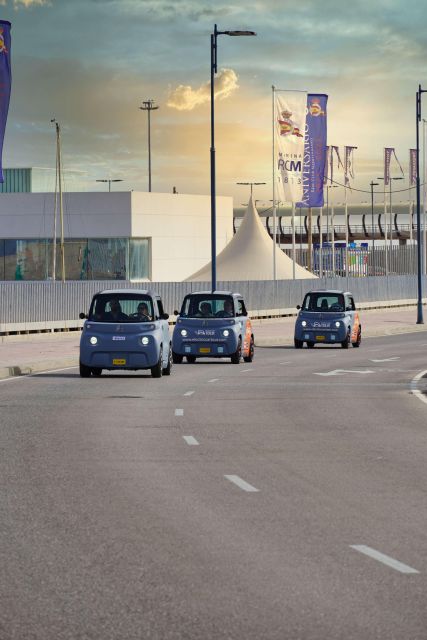 Cruise Terminal Pickup: Málaga in 2 Hours by Electric Car - Who Should Book This Málaga Tour?