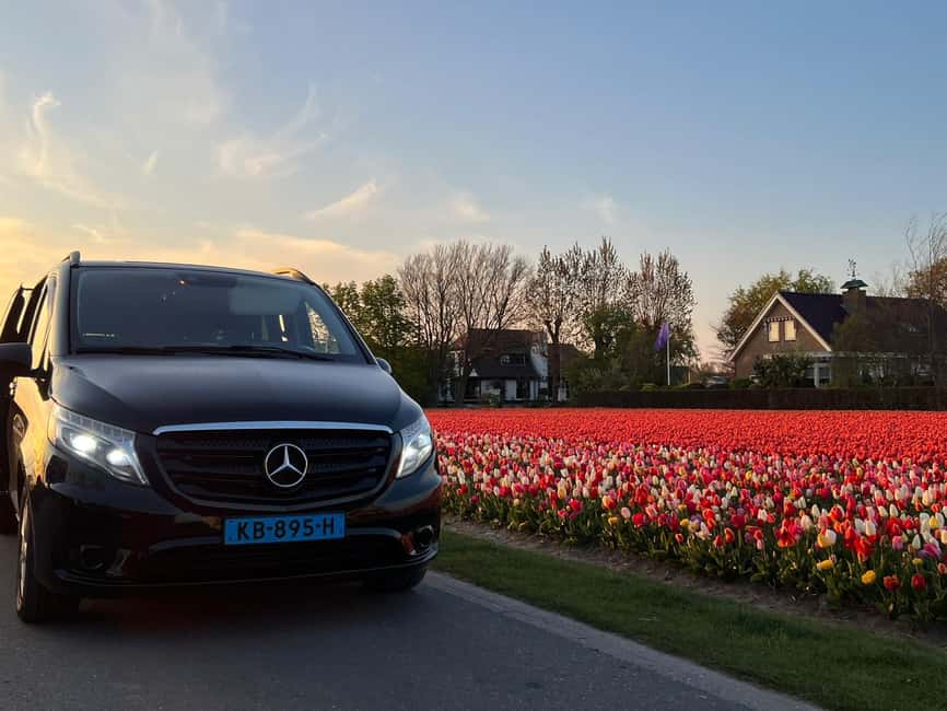 Cruise Terminal Rotterdam: Private Tour by Luxury Van - Key points at a glance