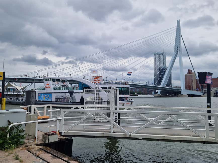 Cruise Terminal Rotterdam: Private Tour by Luxury Van - Madurodam for a compact national overview