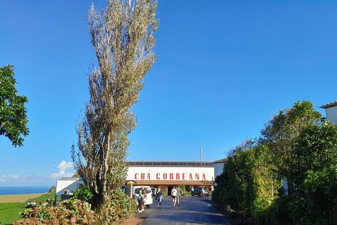Cruise Travellers : Furnas Volcano & Terra Nostra Thermal Pool - Terra Nostra Park and the famous thermal pool