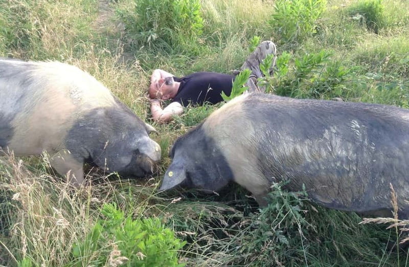 Cured Meat & Olive Oil Tasting & Visit near Pisa & Livorno - What Maria and the family add to the visit