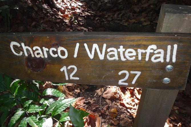 Damajagua Waterfalls for Cruise Ship Passengers - Lunch, rum drinks, and the ride back