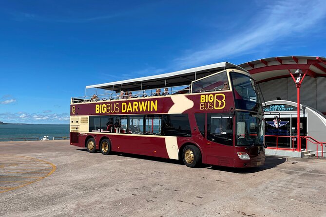 Darwin Shore Excursion: Hop-on Hop-off Bus Tour - Boarding at Fort Hill Wharf and the city centre