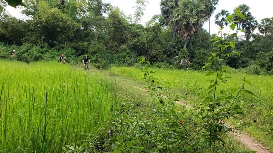 Day trip from Sihanoukville to Phnom Penh for Cruise Ship - Tuol Sleng, the day’s most serious stop