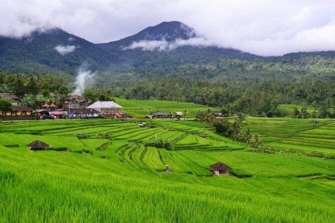 Discover Bali : Shore Excursion from Benoa Port with Free Wi-Fi - Ubud: two hours for art, palace, and market atmosphere