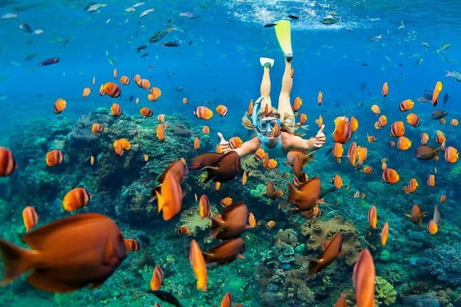 Discover Bali : Shore Excursion from Benoa Port with Free Wi-Fi - Private transport, Wi-Fi, and the value of flexibility