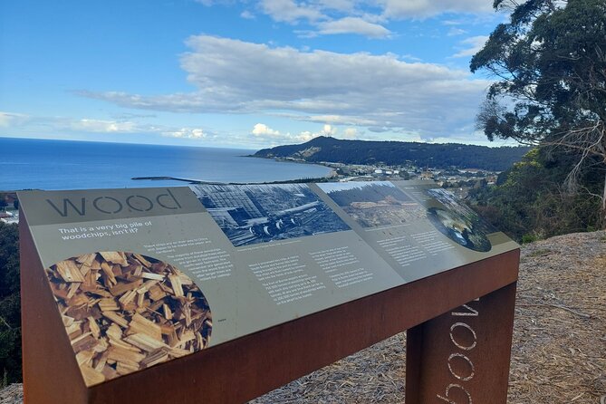 Discovering Tasmania: Burnie Shore Excursion - Timing, meeting point, and cruise-day practicalities
