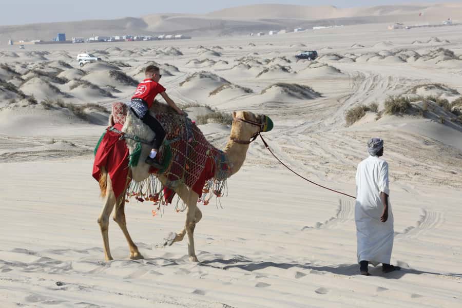 Doha: Desert safari + FREE camel ride from CRUISE TERMINAL - Why the $110 price can make sense