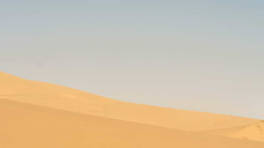 Doha: Half Day Desert Safari From Airport/Hotel/Cruise Port - Key points to know before booking