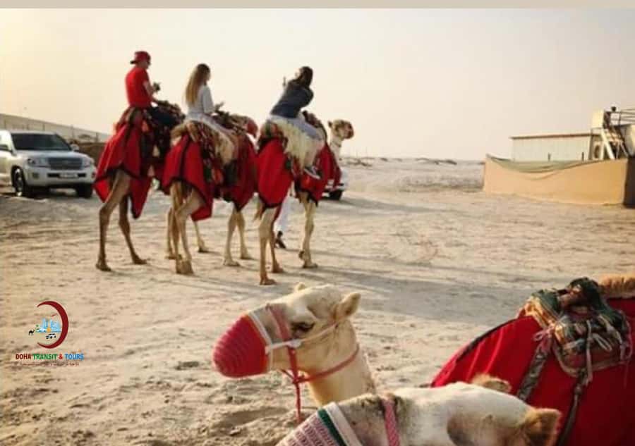 Doha: Half Day Desert Safari From Airport/Hotel/Cruise Port - The 45-minute dune-bashing run
