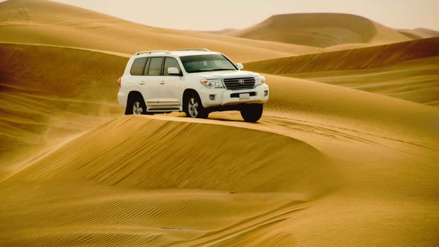 Doha: Half Day Desert Safari From Airport/Hotel/Cruise Port - Leaving Doha for Mesaieed