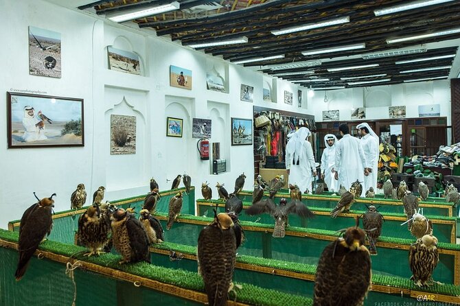 Doha: Private City tour from Cruise Port terminal - Where does the Museum of Islamic Art fit?