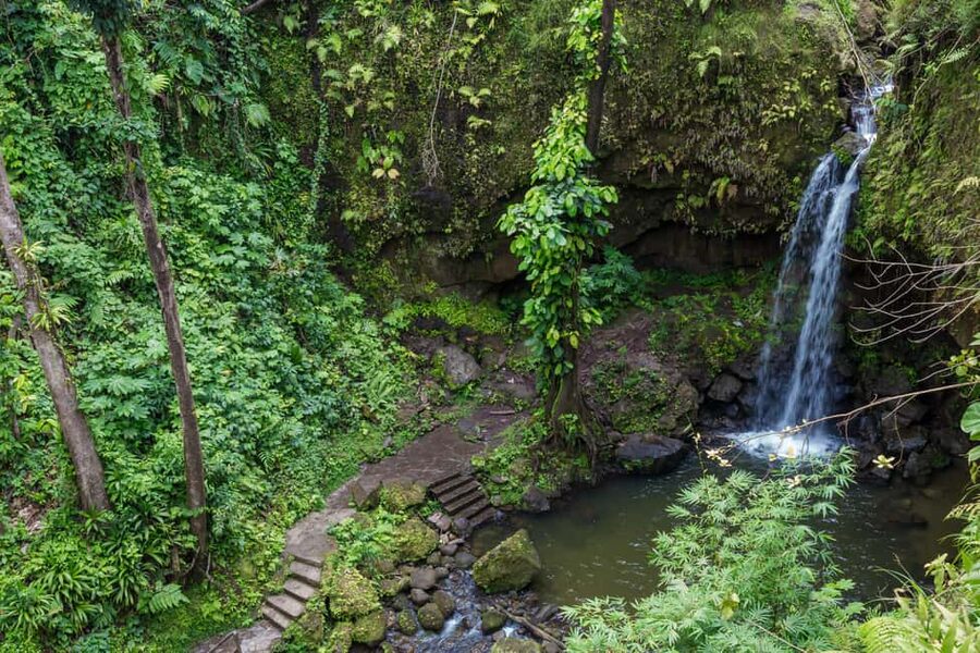 Dominica: Emerald Pool and Mero Beach Shore Excursion - Why this pairing works so well in Dominica