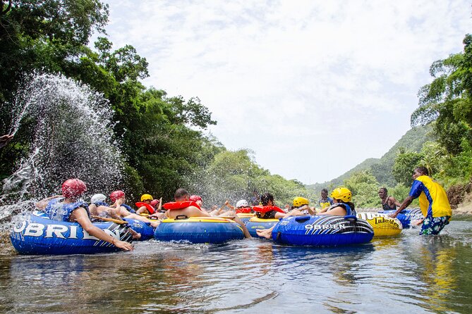 Dominica Shore Excursion: River Tubing Safari - What the scenery feels like from the water