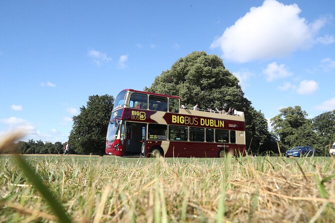 Dublin Shore Excursion, Live Guided Open-top, Hop-on Hop-off Sightseeing Tour - Live commentary and language options