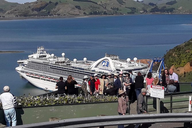 Dunedin Nature & City Tour – Full Day Cruise Excursion - Key points to know before you book