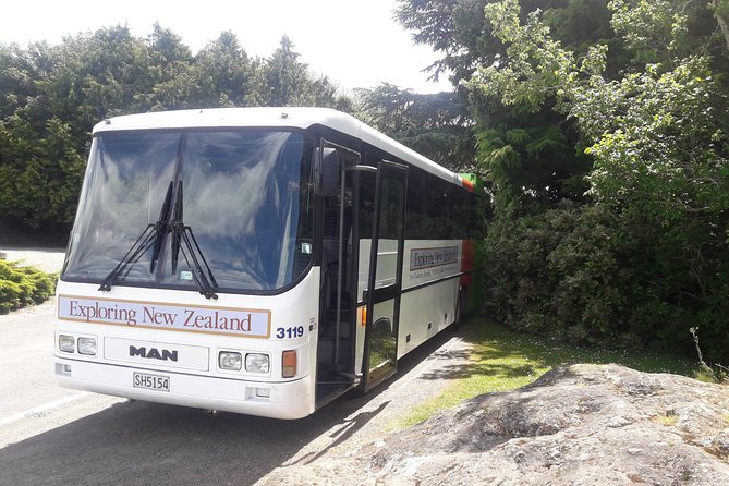 Dunedin Nature & City Tour – Full Day Cruise Excursion - Why this works well from a cruise ship