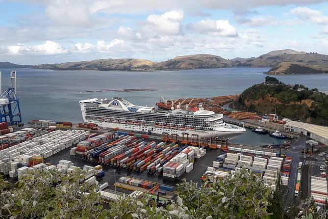 Dunedin Nature & City Tour – Full Day Cruise Excursion - The Botanic Garden and Dunedin’s upper slopes