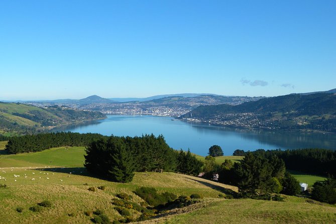 Dunedin Nature & City Tour – Full Day Cruise Excursion - Railway architecture and Baldwin Street
