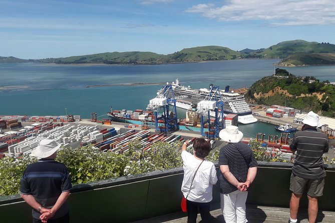 Dunedin Nature & City Tour – Full Day Cruise Excursion - Mount Cargill and views over Otago Harbour
