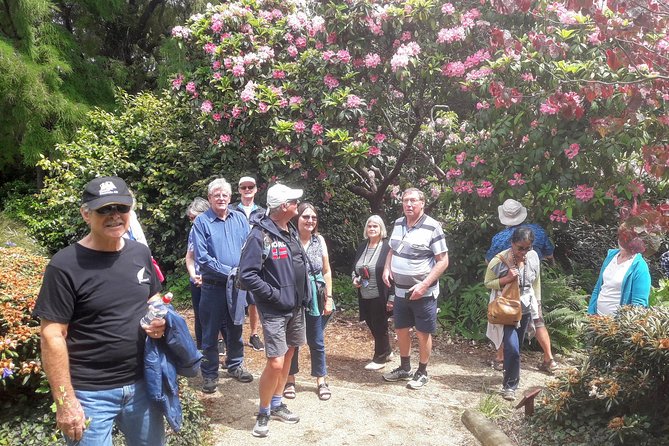 Dunedin Nature & City Tour – Full Day Cruise Excursion - Toitu Otago Settlers Museum and the lunch question