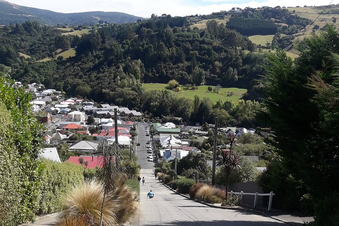 Dunedin Nature & City Tour – Full Day Cruise Excursion - Larnach Castle or Sandfly Bay