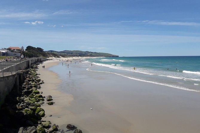 Dunedin Nature & City Tour – Full Day Cruise Excursion - Port Chalmers to the Octagon