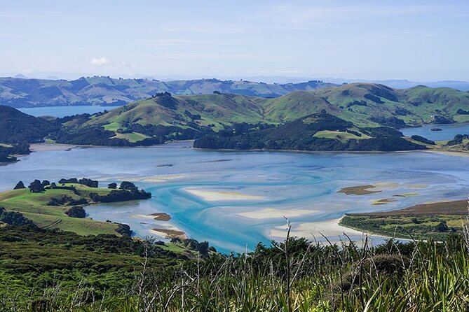 Dunedin Shore Excursion City Sightseeing & Tour of Larnach Castle - Weather, comfort, and practical concerns