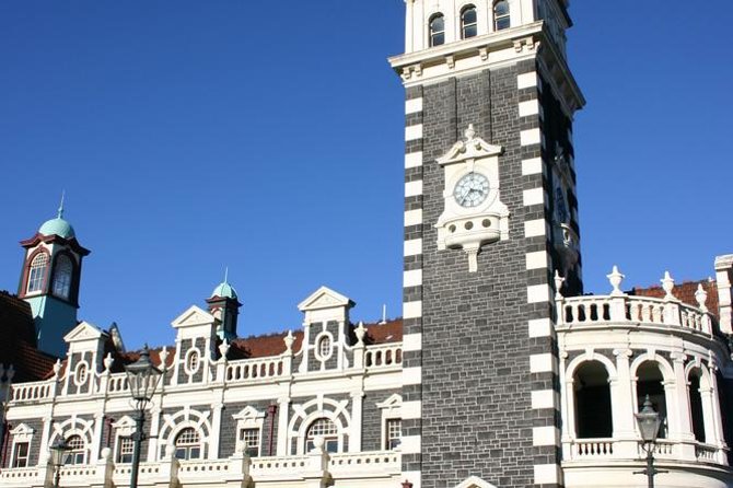 Dunedin Shore Excursion: Small-Group Tour of Dunedin and the Otago Peninsula - Baldwin Street: a five-minute look at Dunedin’s famous slope