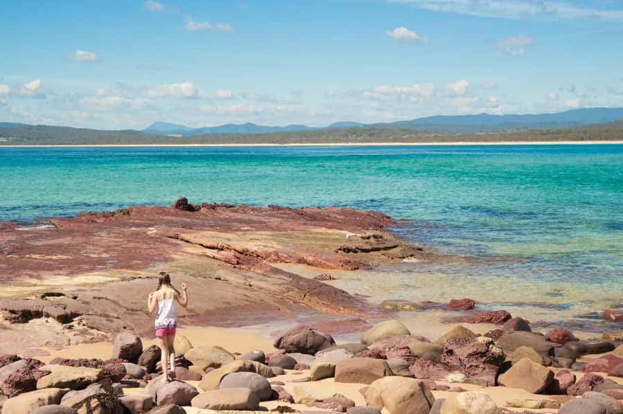 Eden: Sapphire Coast 4 Hour Shore Excursion - What the $113 price includes