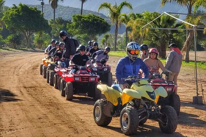 Enesenda Shore Excursion ATV Adventure with Tacos & wine tasting - Key points to know before booking