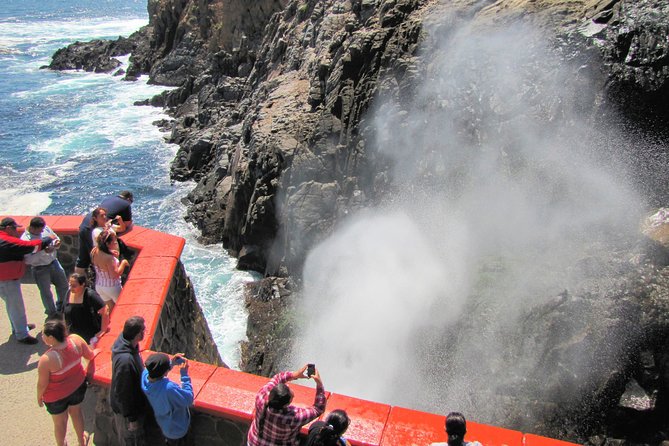 Ensenada Shore Excursion: Blowhole and La Bufadora Tour with Horseback Riding - Who should book this private shore excursion?