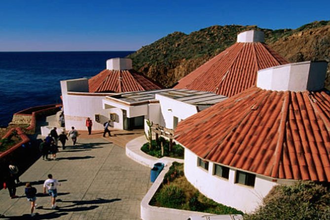 Ensenada Shore Excursion: City Tour & La Bufadora - La Bufadora is the main event