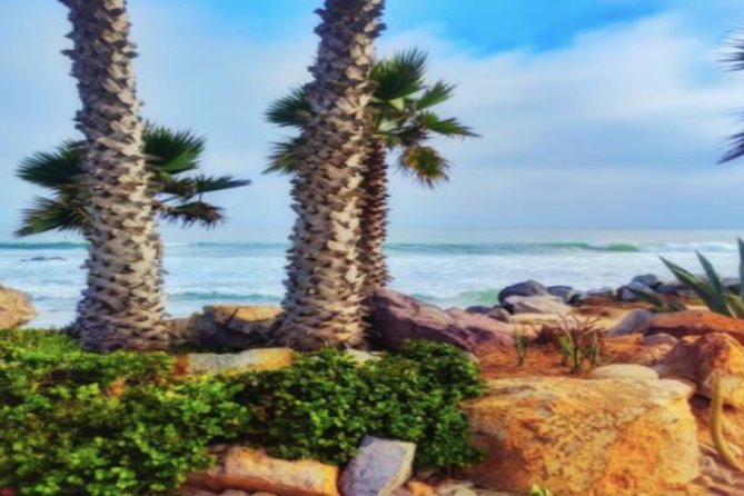 Ensenada Shore Excursion: City Tour & La Bufadora - Who will get the most from this excursion