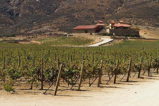 Ensenada Shore Excursion: Entre Santos and El Cielo Winery Tours with Lunch - What the private format really gives you