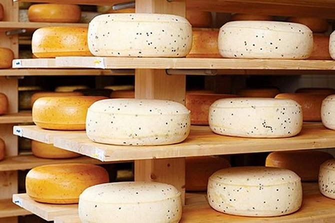 Ensenada Shore Excursion: Wine and Cheese Tour with Lunch in Ojos Negros Valley - Key points to know before booking
