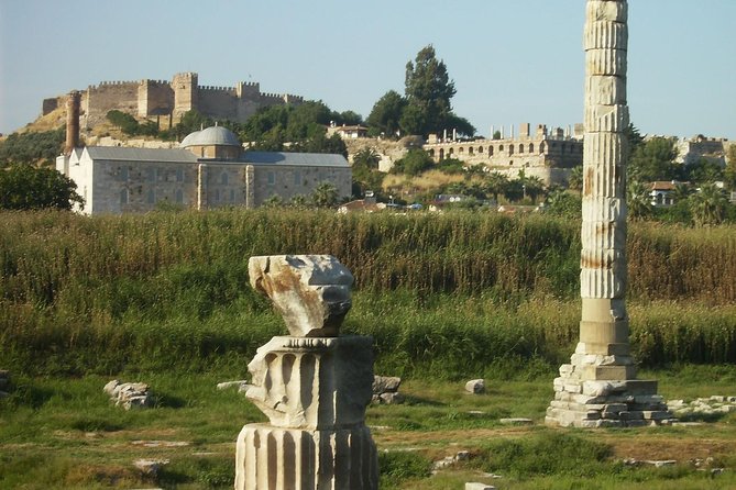 Ephesus Private & Mini Group Shore Excursions - Skip The Lines - The Temple of Artemis is brief but worthwhile